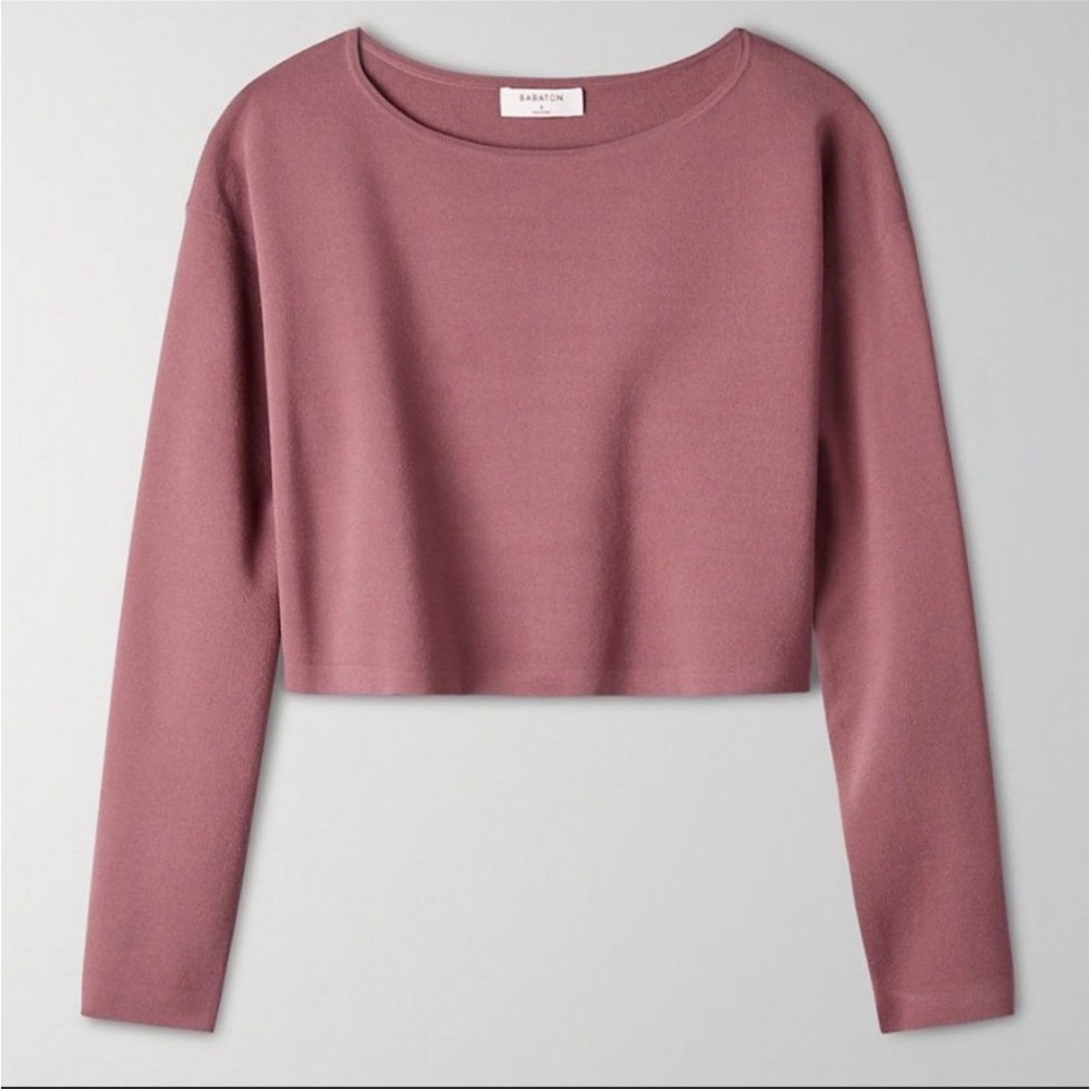 Aritzia Babaton Hessy Sweater